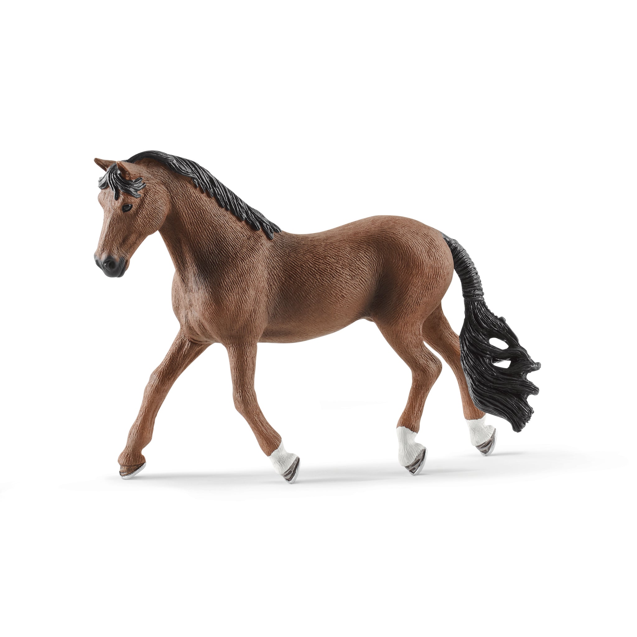 Wałach trakehner SLH13909