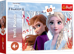Puzzle 60 Zaczarowany świat Anny i Elsy Frozen 2 17333