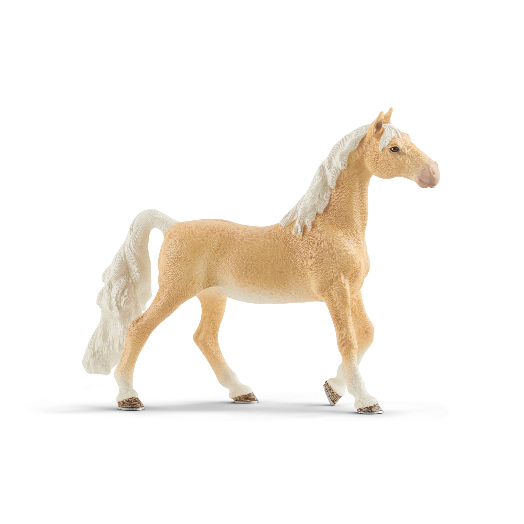 Koń Saddlebred klacz SLH13912
