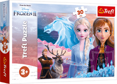 Puzzle 30 Odwaga sióstr Frozen 2 18253