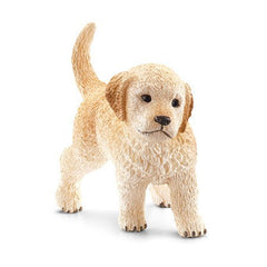 Golden Retriever szczeniak SLH16396