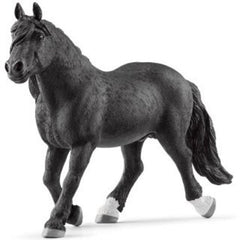 Ogier Rasy Noriker SLH13958