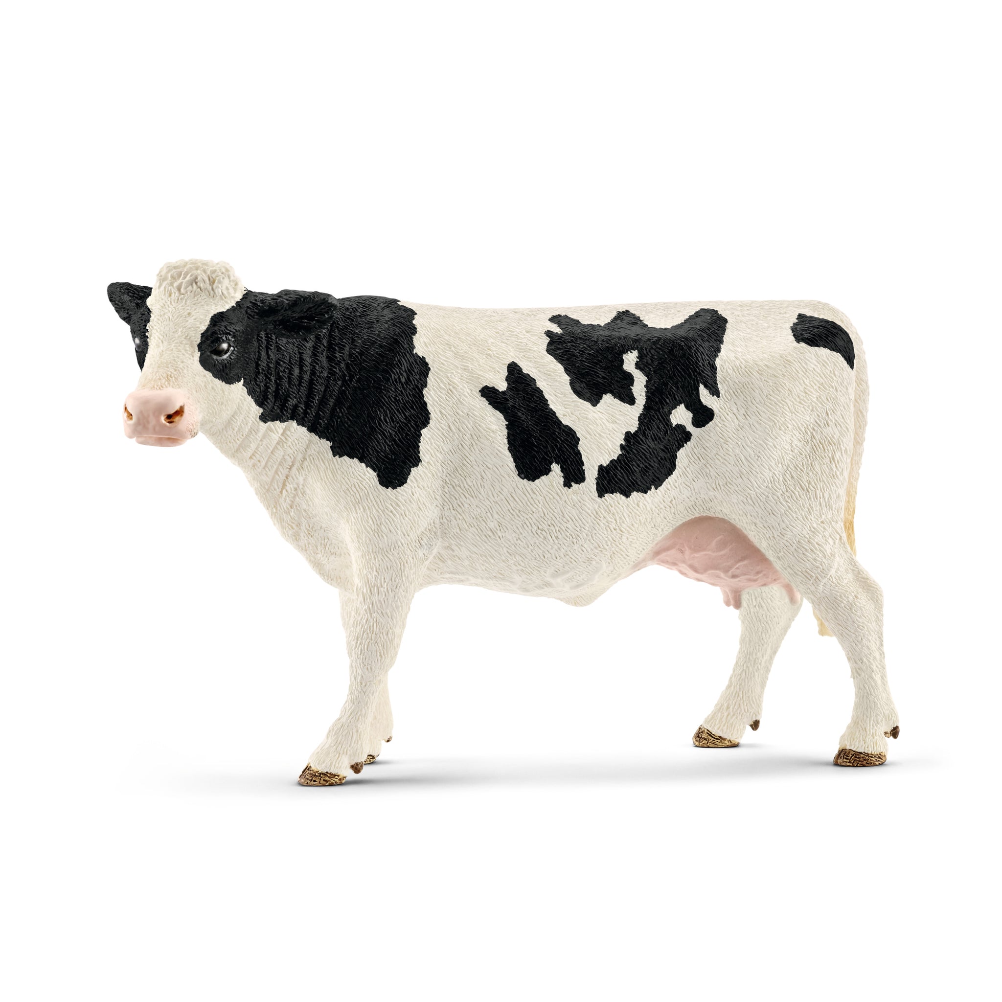 Krowa rasy Holstein SLH13797