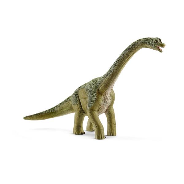 Brachisaurus SLH14581