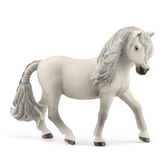 Kuc islandzki klacz SLH13942