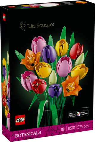 LEGO Botanicals Bukiet Tulipanów 11501