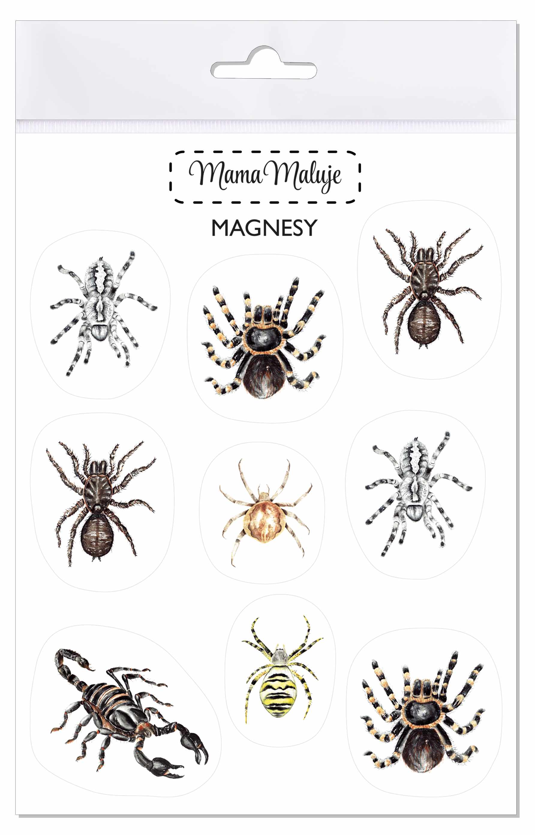 Magnesy Pajęczaki