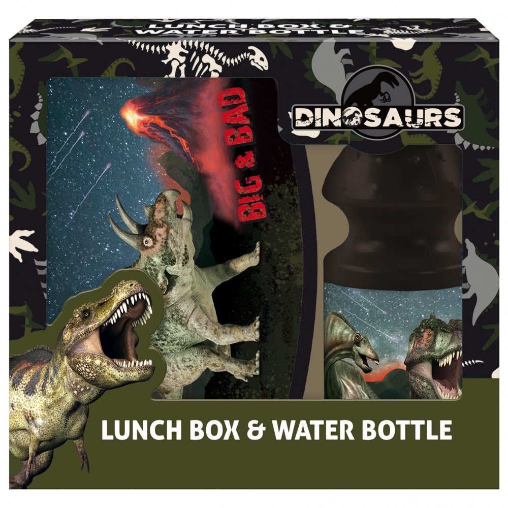 Zestaw śniadaniowy pojemnik + bidon 330ml Dinozaur 17
