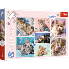 Puzzle 100 W kocim świecie 16420