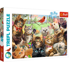 Puzzle 260 Kotki 13241