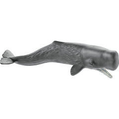 Kaszalot SLH14764