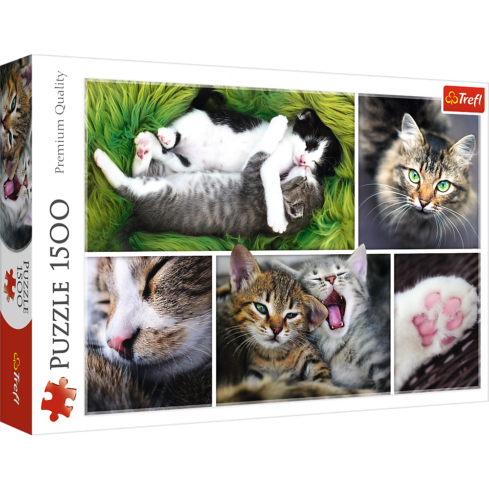 Puzzle 1500 Kocie sprawy kolaż 26145