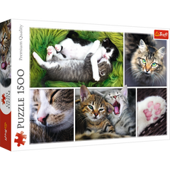 Puzzle 1500 Kocie sprawy kolaż 26145
