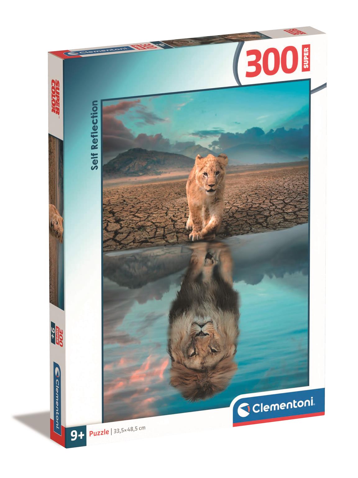 Puzzle  300 Super Self Reflection 21719