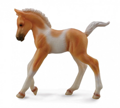 Źrebię idące Pinto Palomino