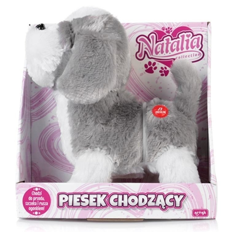 Piesek chodzący na smyczy Natalia szary