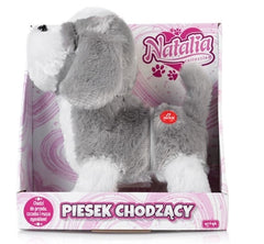 Piesek chodzący na smyczy Natalia szary