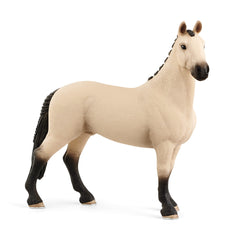 Koń wałach rasy Hanoverian red dun SLH13928