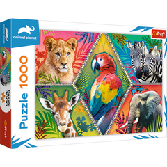 Puzzle 1000 Egzotyczne zwierzęta 10671