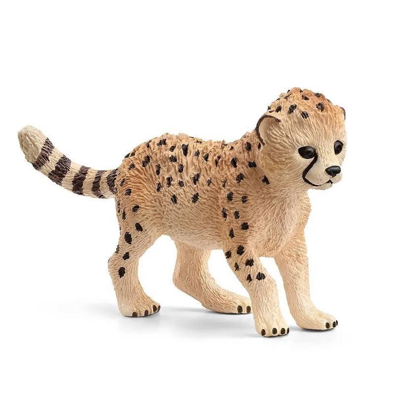 Młody Gepard SLH14866