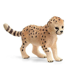 Młody Gepard SLH14866
